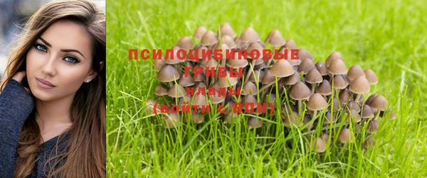 синтетический гашиш Чекалин